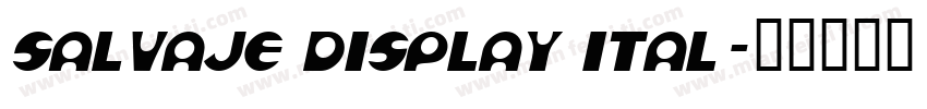 salvaje display ital字体转换